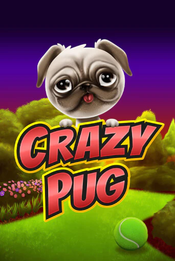 Crazy Pug игра онлайн | Казино 888 бесплатно и без регистрации