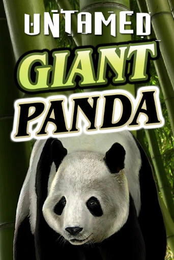 Untamed - Giant Panda игра онлайн | Казино 888 бесплатно и без регистрации