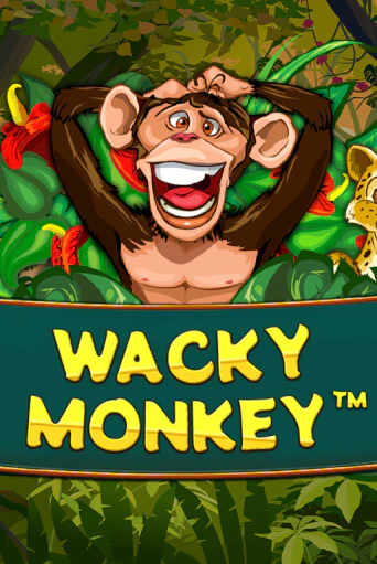 Wacky Monkey игра онлайн | Казино 888 бесплатно и без регистрации