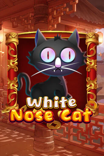 White Nose Cat игра онлайн | Казино 888 бесплатно и без регистрации