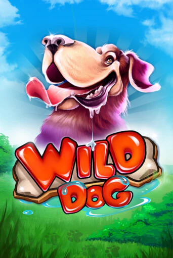 Wild Dog игра онлайн | Казино 888 бесплатно и без регистрации