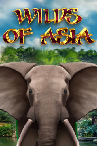 Wilds of Asia игра онлайн | Казино 888 бесплатно и без регистрации