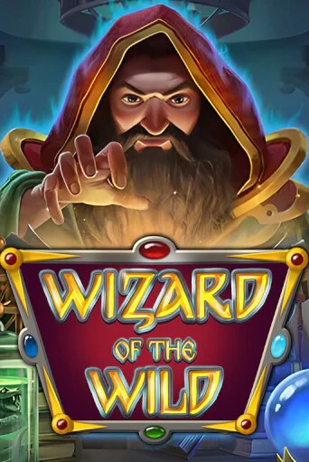 Wizard of the Wild игра онлайн | Казино 888 бесплатно и без регистрации