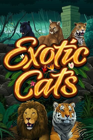 Exotic Cats игра онлайн | Казино 888 бесплатно и без регистрации